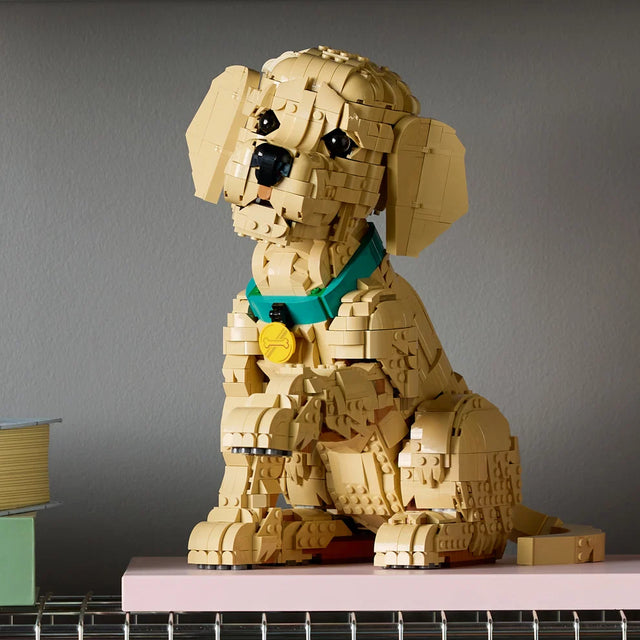 Golden Retriever Puppy