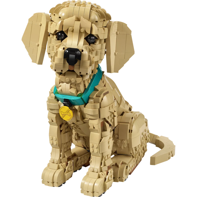 Golden Retriever Puppy