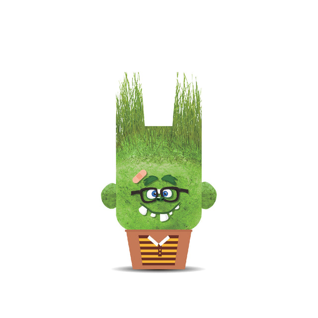 Plant Pals Monsters