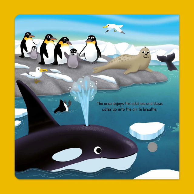 Wild Animals Soft Touch Sound Book