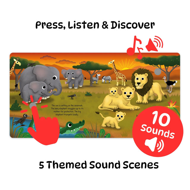 Wild Animals Soft Touch Sound Book