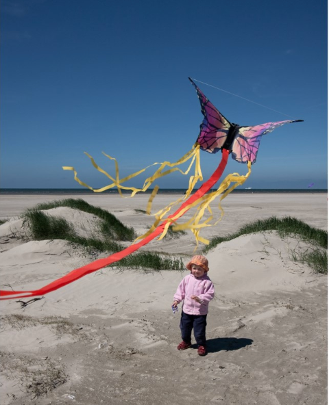 Ruby Butterfly Kite