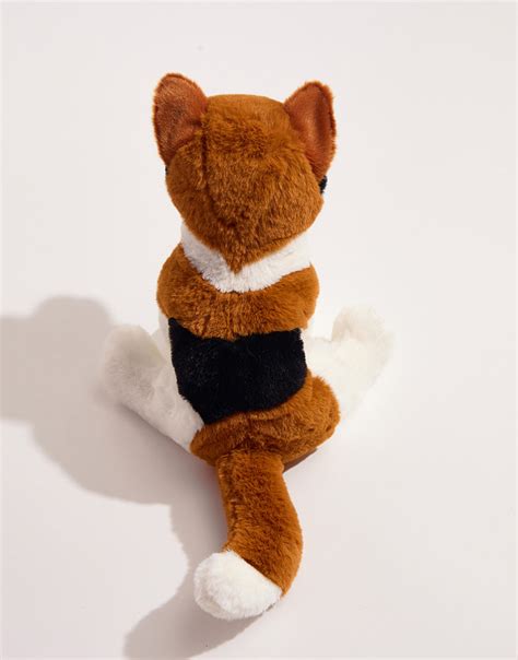 Patches Calico Cat