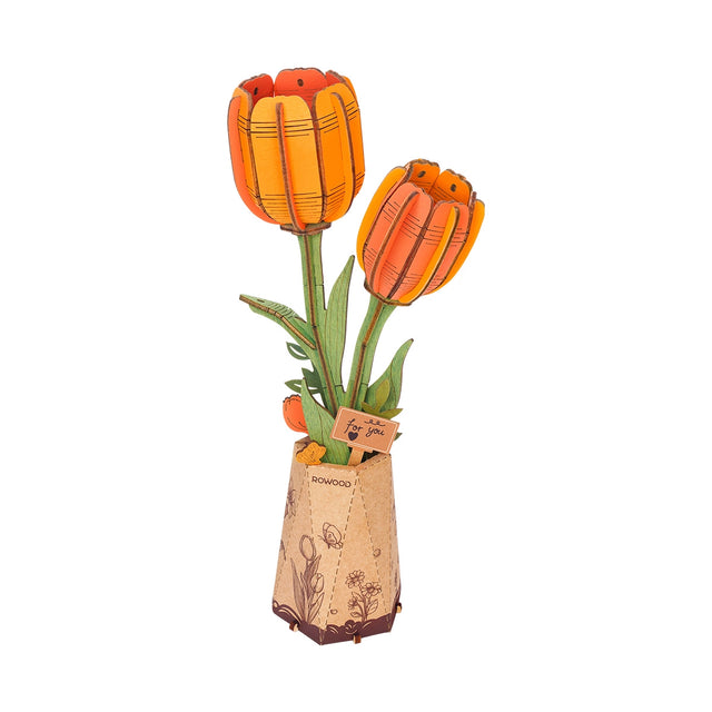 Orange Tulip