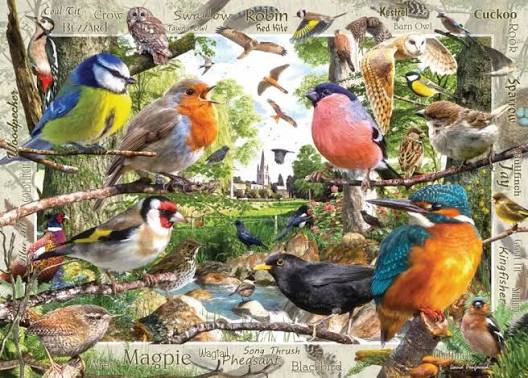 Our Feathered Friends 1000 Pc Puzzle
