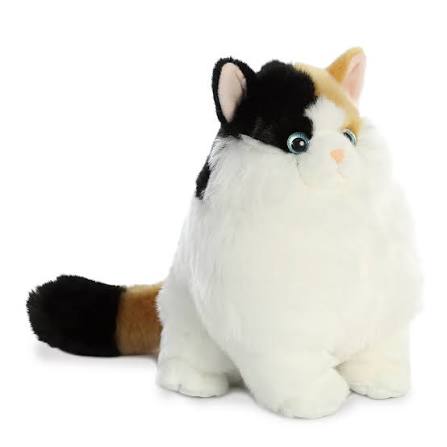 9.5" MUNCHY CALICO