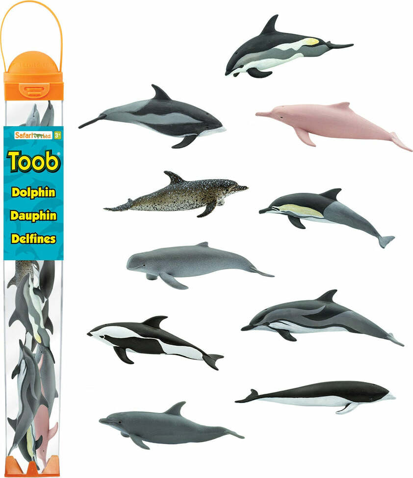 Dolphins TOOB®