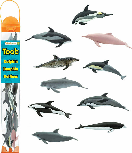 Dolphins TOOB®