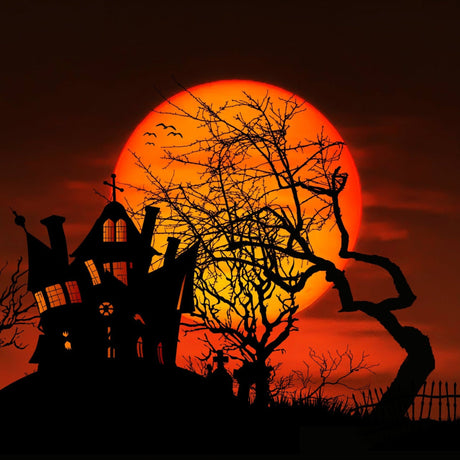 Coming Soon: The Enchanted Forest After Dark 🌙