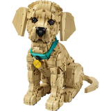 Golden Retriever Puppy