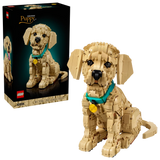 Golden Retriever Puppy