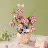 Pink Lily of the Valley