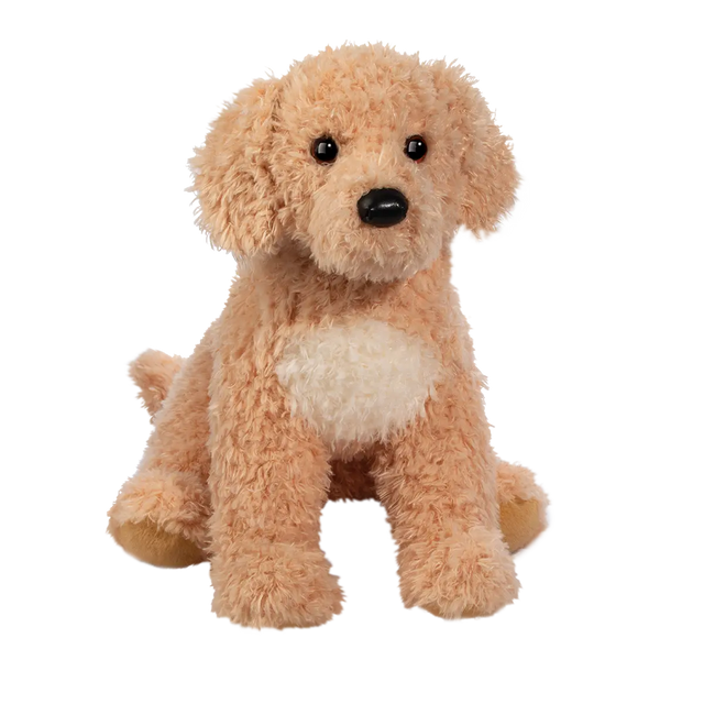 Noodle Goldendoodle
