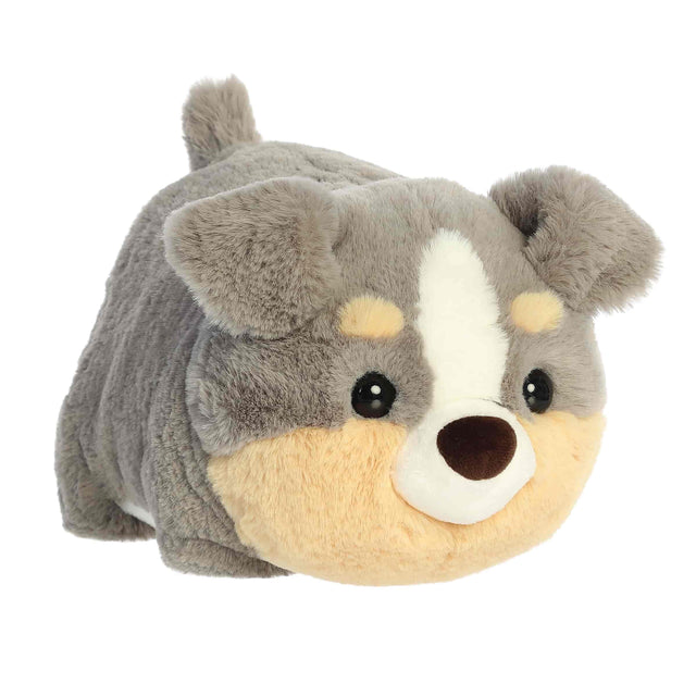 10" STORM AUSTRALIAN SHEPHERD