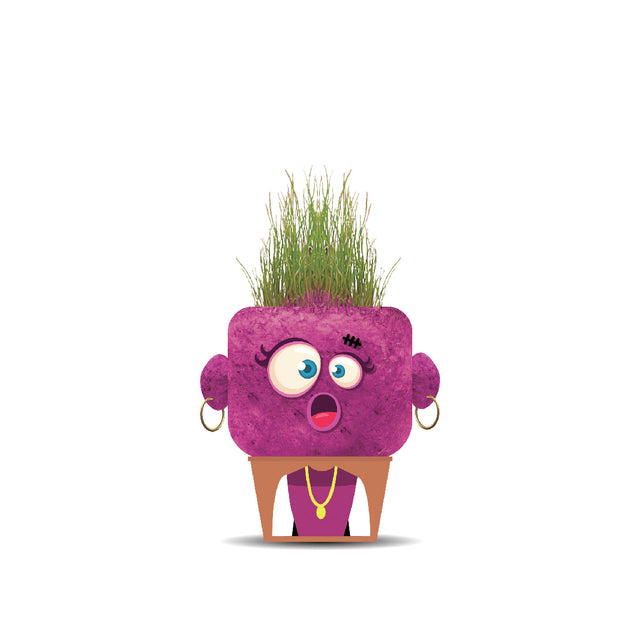 Plant Pals Monsters