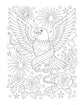 Americana:  A Coloring Book