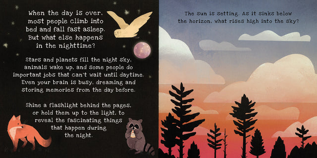 Shine-a-Light Nighttime