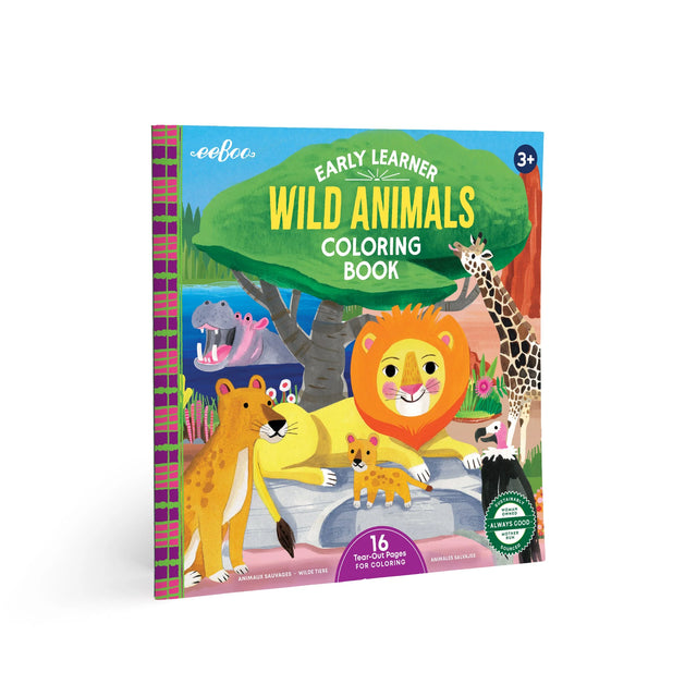 Square Coloring Book Assortment