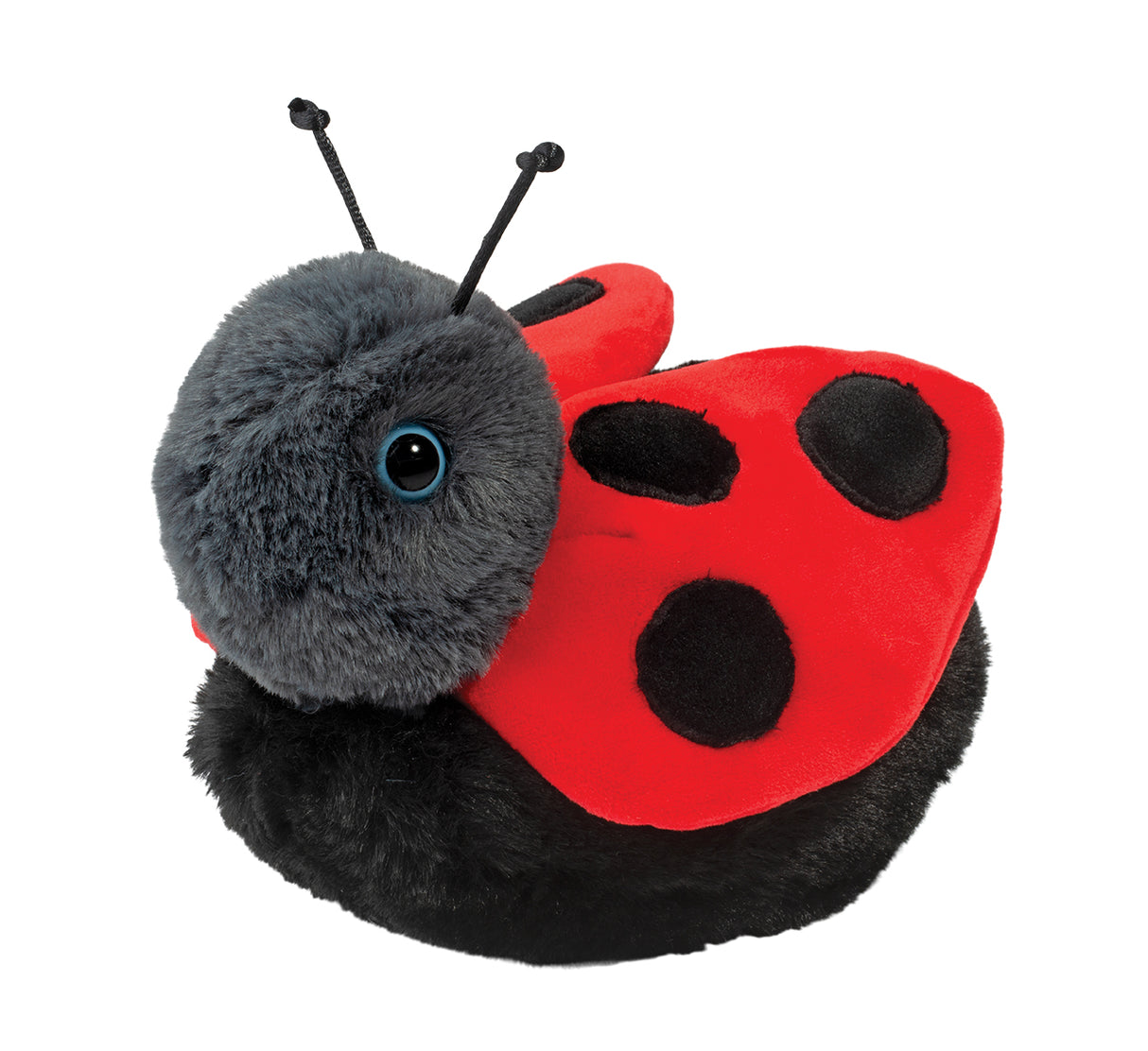 Bert Ladybug