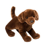 Cocoa Chocolate Lab