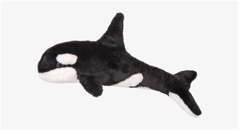 Spout Orca Whale