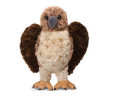 Orion Red Tail Hawk