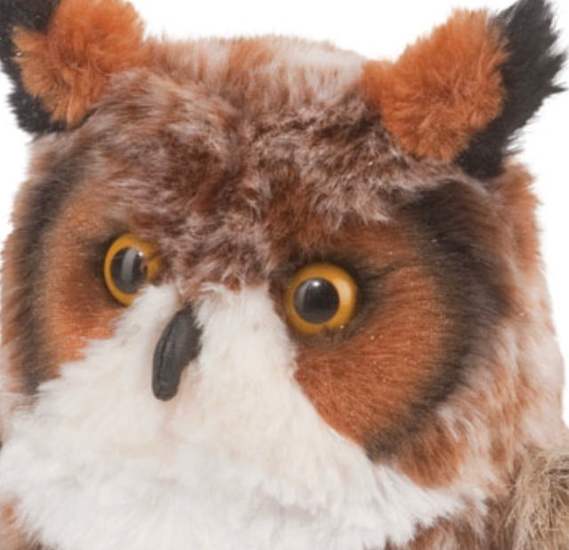 Einstein Great Horned Owl