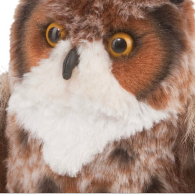 Einstein Great Horned Owl