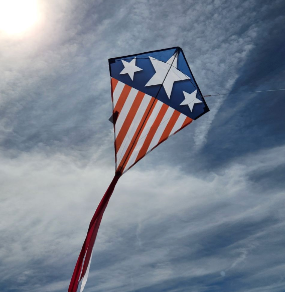 Eddy Stars & Stripes 28"