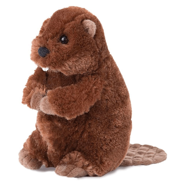 Buddy Beaver