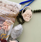 Dino Fossil Dig Play Pack