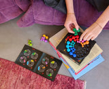 IQ Deluxe Circle Logic Game