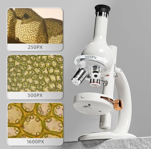 Microscope Lab Edition