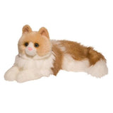 Kiki Ragdoll Cat