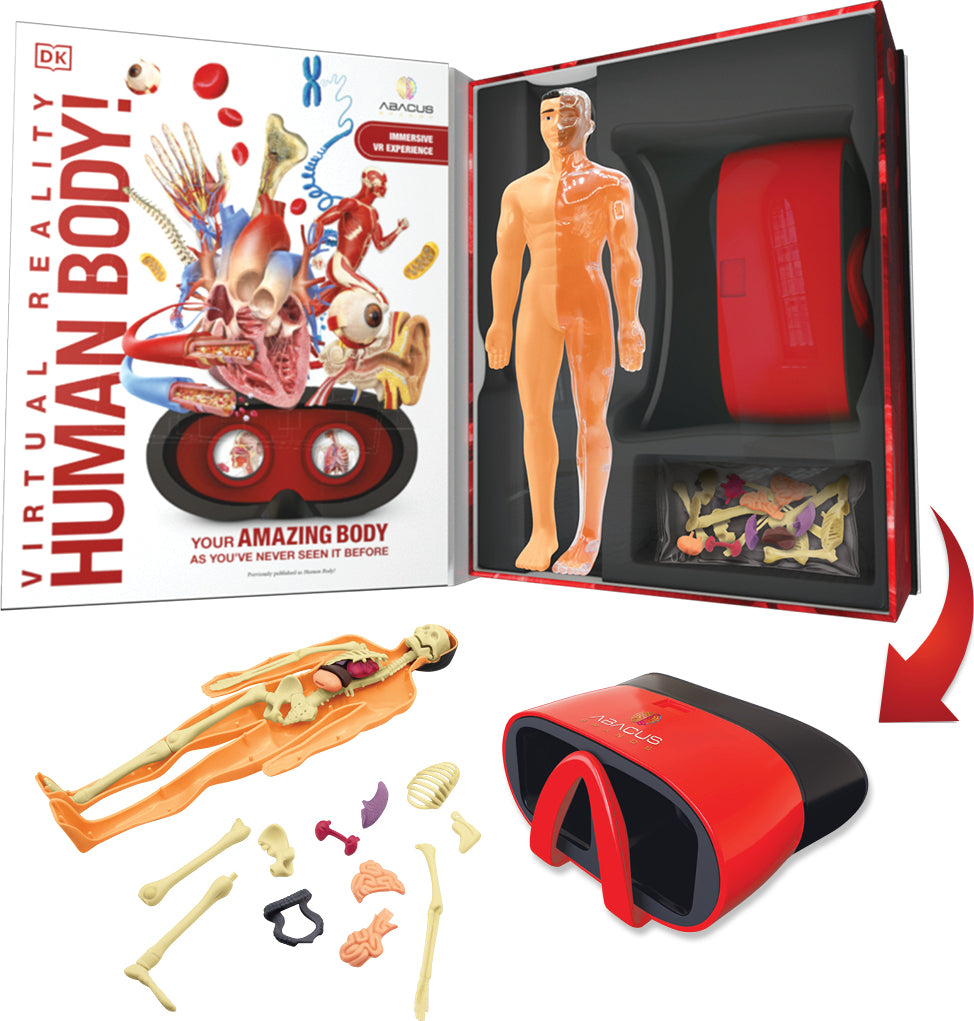 VR Discovery Box - Human Body!