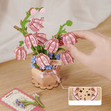 Pink Lily of the Valley