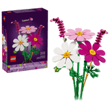 11514 Cosmos Flowers