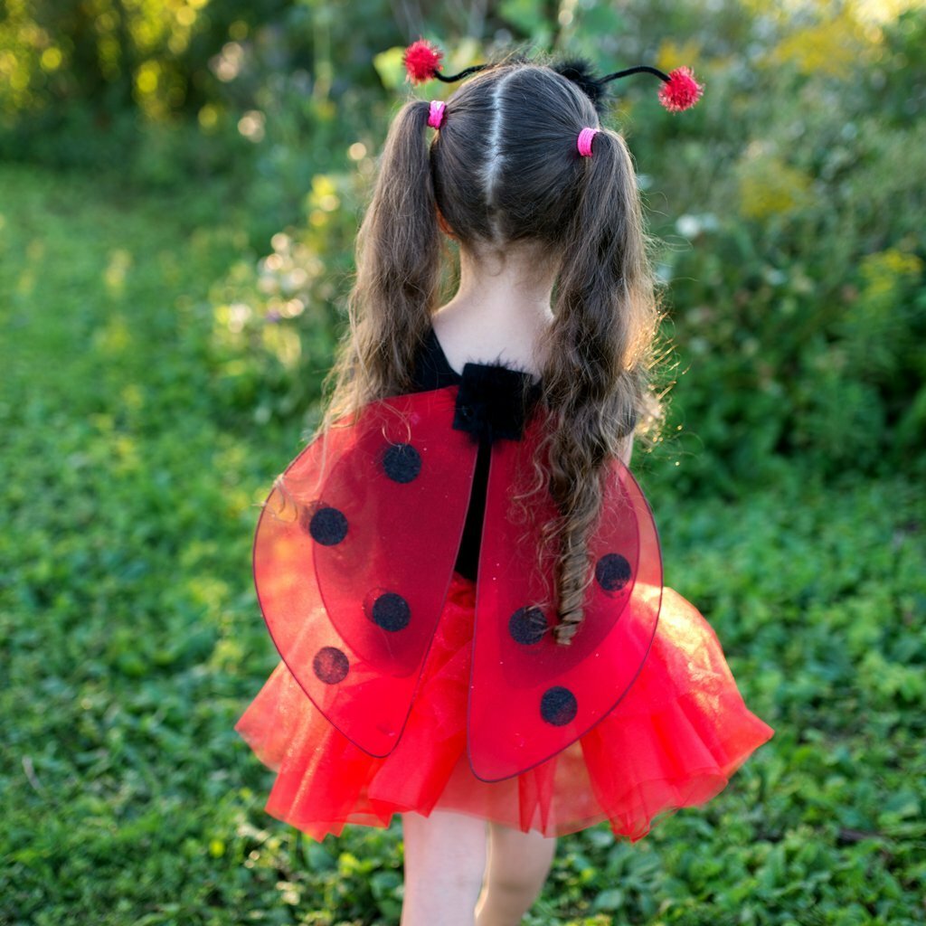 Glitter Lady Bug Set