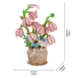 Pink Lily of the Valley