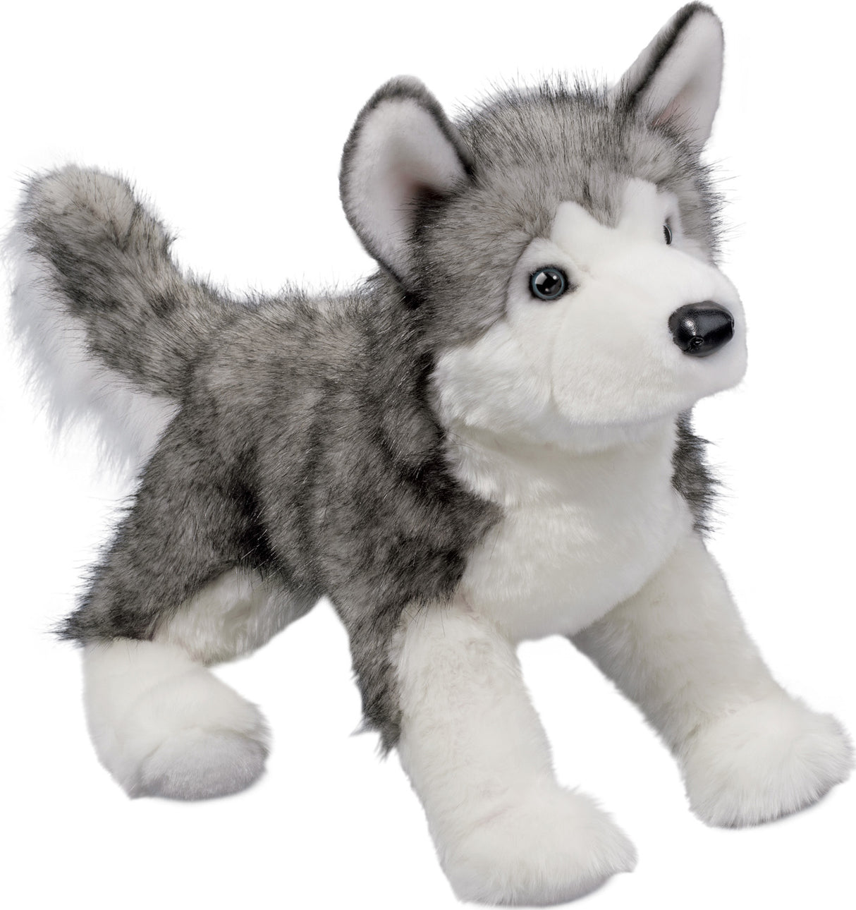 Lobo Husky (Large)