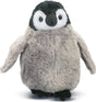 Cuddles Penguin Chick