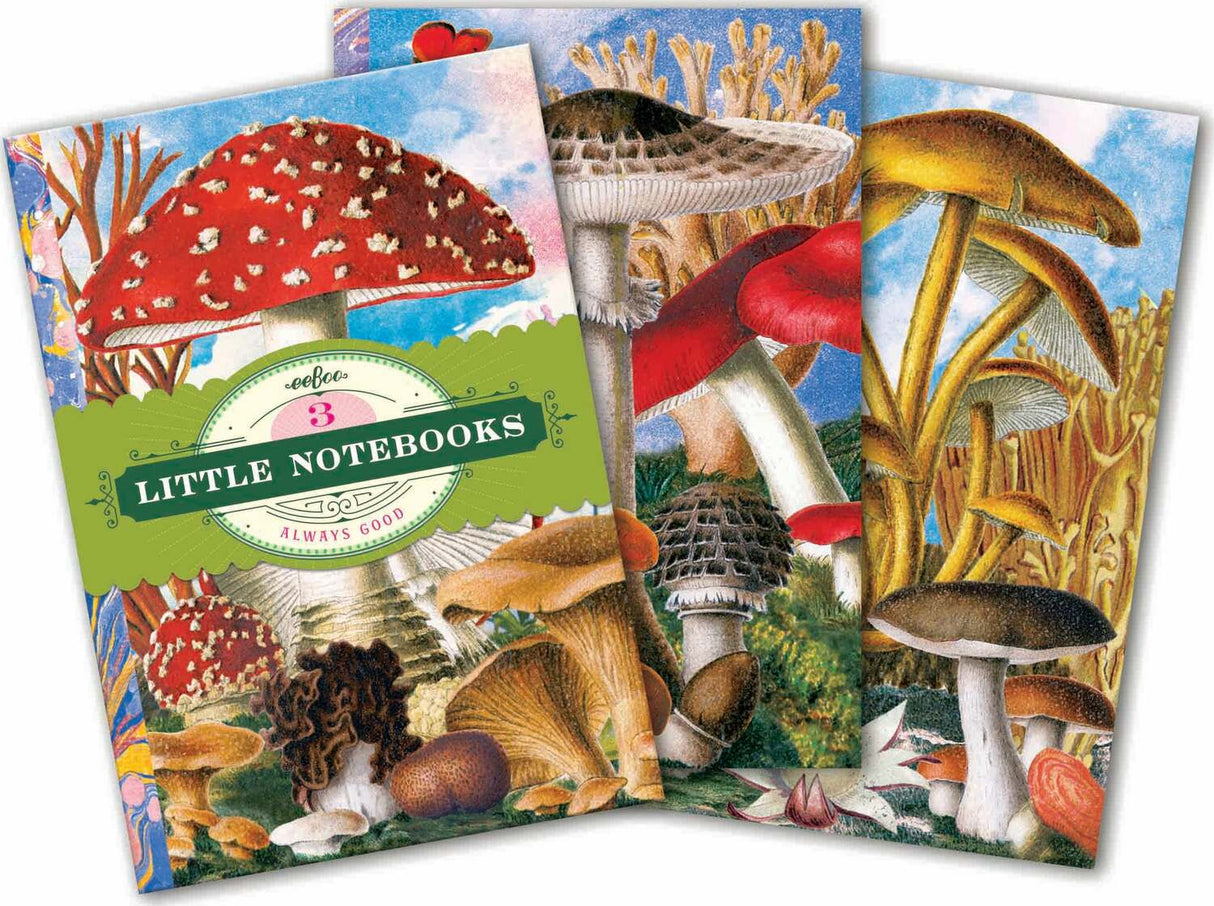 Fumiha's Little Book Set - Mushrooms