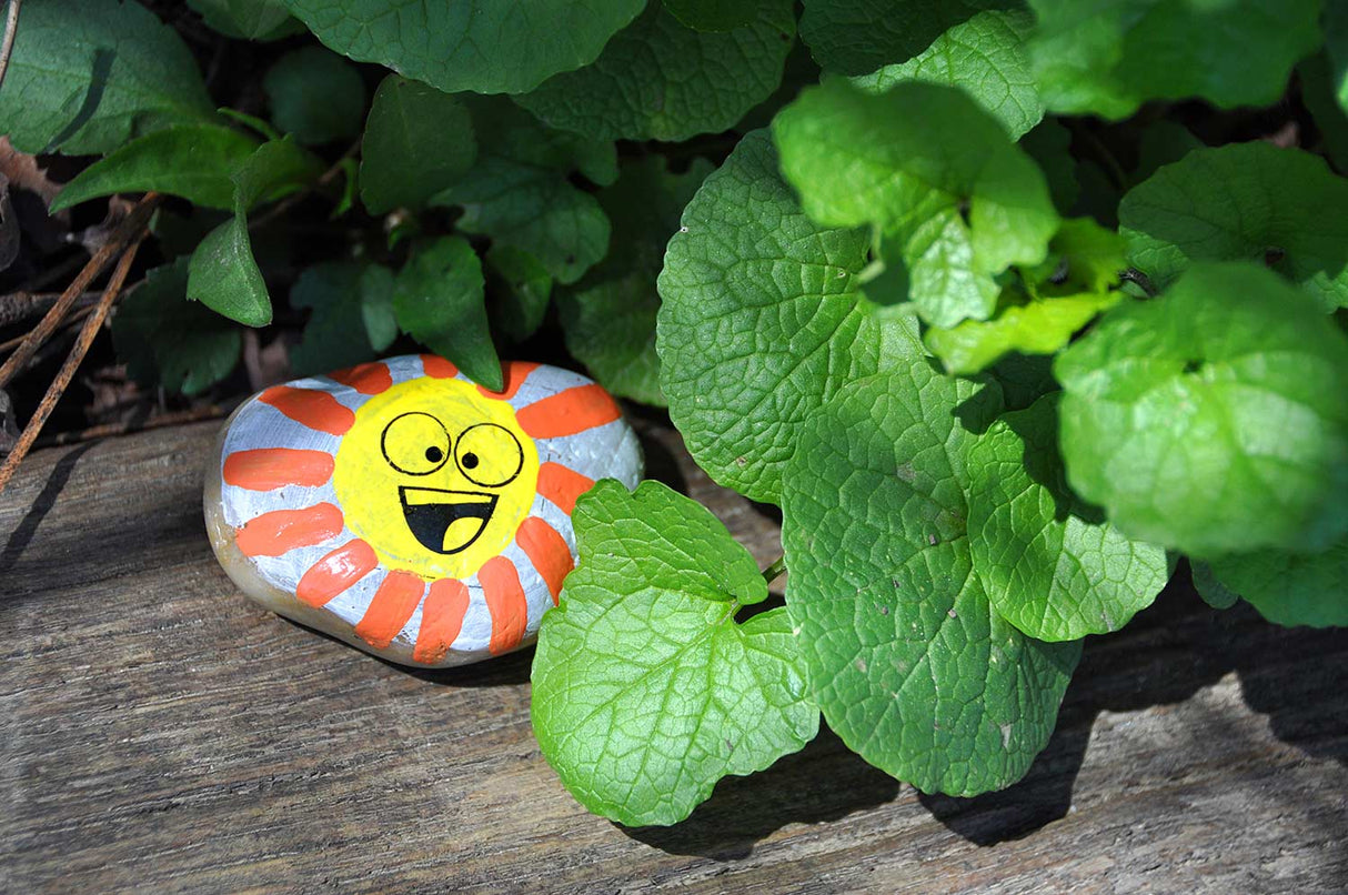 Hide & Seek Rock Painting Kit (weight varies due to natural rocks)