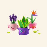 Three completed Hey Clay Plant Folks creations including a bird of paradise, snake plant, and salvia plant in colorful character pots.