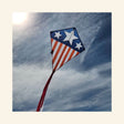 Front of HQ Kites ECO Eddy Stars & Stripes 28-inch diamond kite featuring a patriotic red, white, and blue design with white stars, durable ripstop polyester fabric, and a long matching tail.