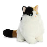 9.5" MUNCHY CALICO