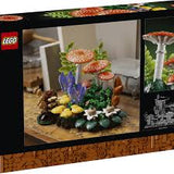 11505 Woodland Mushrooms