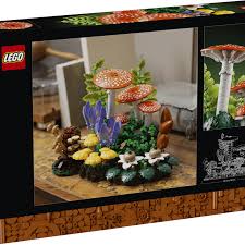 11505 Woodland Mushrooms
