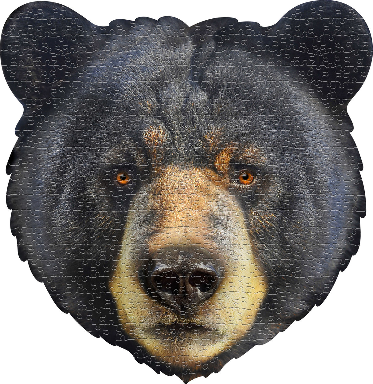 Madd Capp Puzzle - I Am Bear