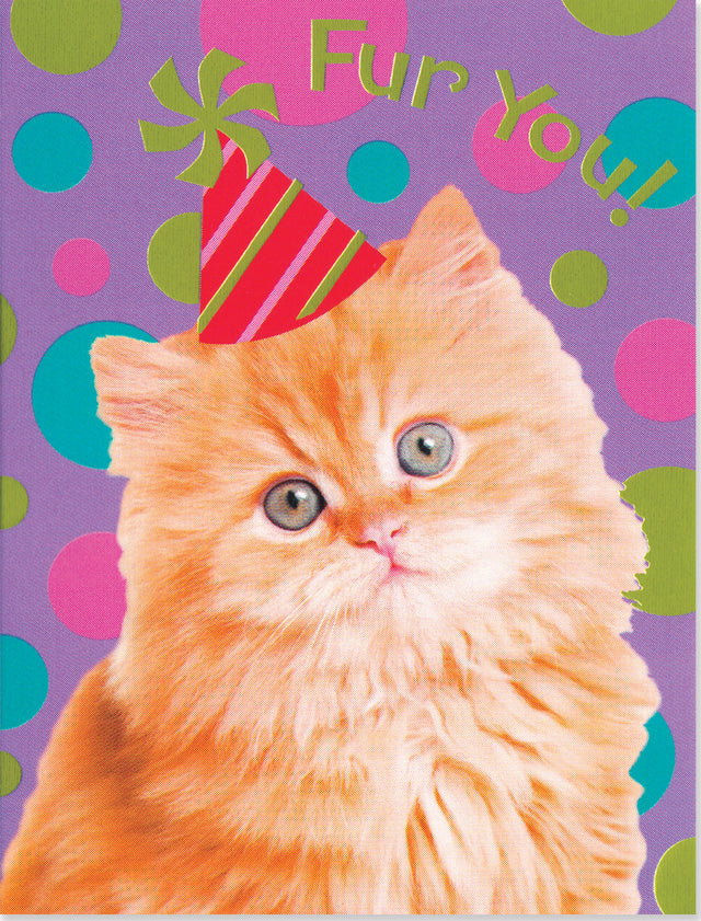 Fur You Cat Foil Card